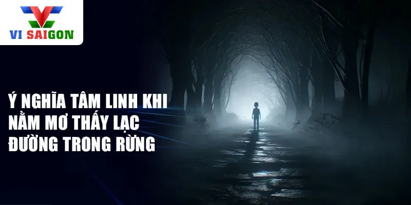 Ý nghĩa tâm linh khi nằm mơ thấy lạc đường trong rừng